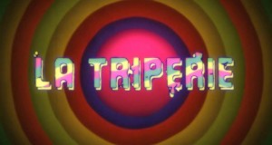 Comédienne dans une Websérie  « La triperie »